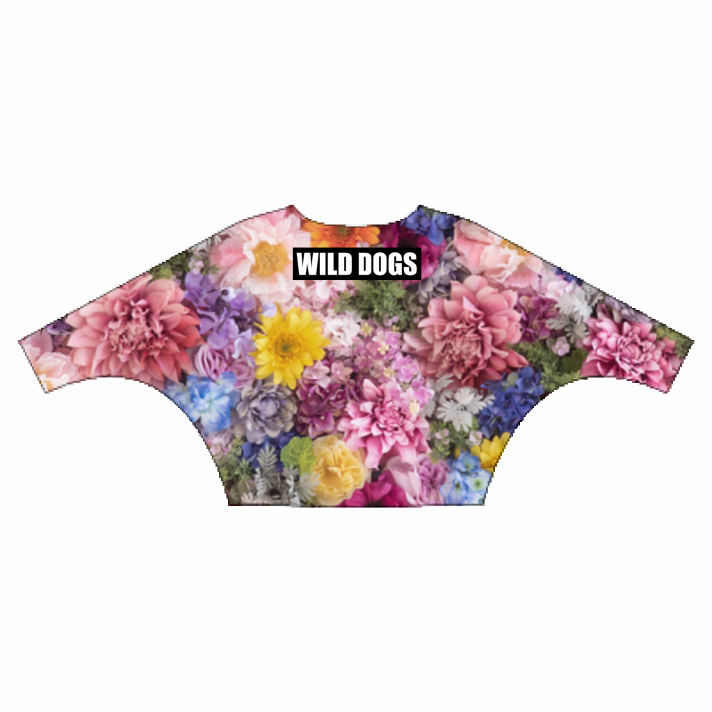 ANN長袖Tシャツ「LADIES」