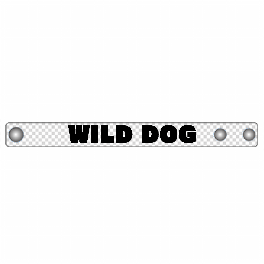 WILD DOGバンド「ITEM」